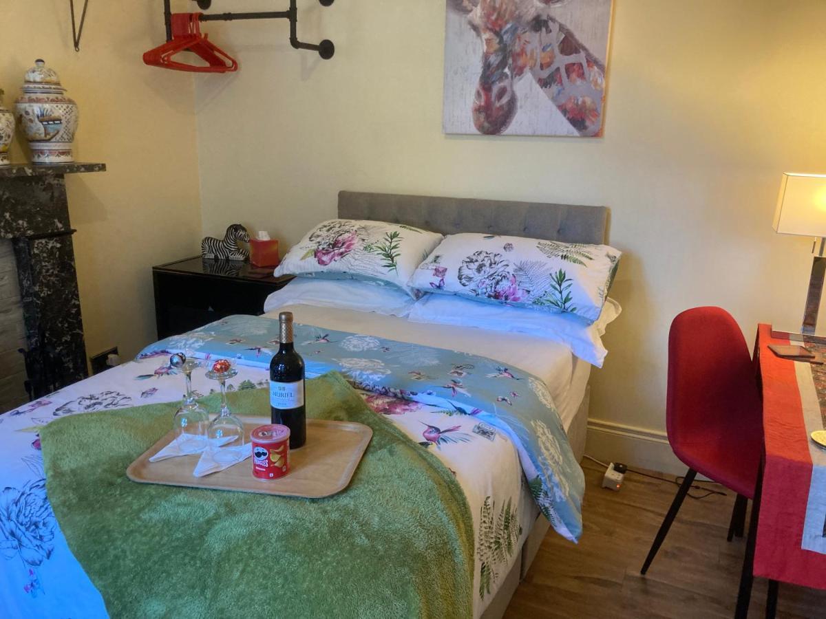 Mountroyal Victorian Studio Self Catering Apartment 3 Belfast Exterior foto